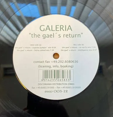 Image de Le retour des Gael