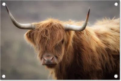 Produktbild von MuchoWow®