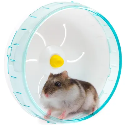 Obrázek produktu pro Kolečko pro hlodavce, 17,5 cm, modré. Tiché kolečko pro menší zvířata