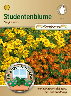 Artikelbild 1 von 'Studentenblume Starfire mixed (Saatband)'