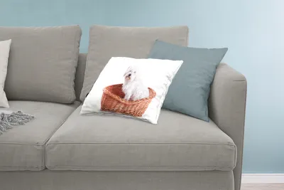 Produktbild von MuchoWow® Zierkissen Sofakissen Wohnzimmer Dekokissen 60x40 cm Malteser Hund im Korb sitzend - Kopfkissen - Polster mit Foto