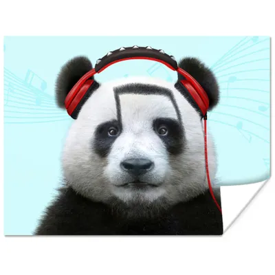 Produktbild von MuchoWow® Poster Panda - Kopfhörer - Tier - Musiknoten - Rot 160x120 cm - Foto Plakat