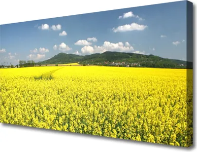 Produktbild von Tulup Leinwand-Bilder 100x50 Wandbild Canvas Kunstdruck Wiese Natur
