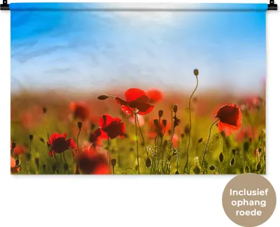 Produktbild von MuchoWow® Wandteppich Wandbehang Mohnblumen unter einem klaren blauen Himmel. 90x60 cm Tapisserie Dekoration Wandtuch - Wandskulpturen - Bildteppich