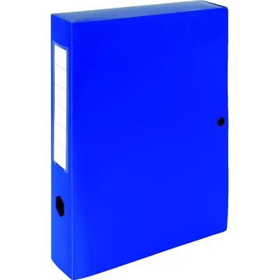 Image de Exacompta Boîte d'archivage en polypropylène avec bouton-pression de 70 mm, dos opaque, format DIN A4, bleu