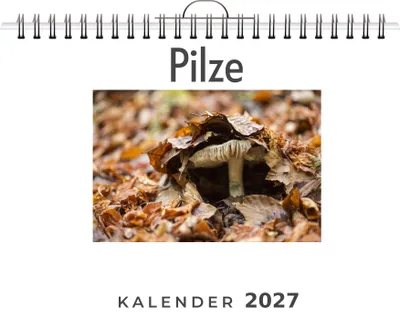 Produktbild von Pilze