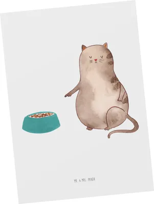 Produktbild von Mr. & Mrs. Panda Postkarte Katze Fressen - Weiß - Geschenk, Grußkarte, Postkarten, Fotokarte, Ansichtskarten, Ansichtskarte