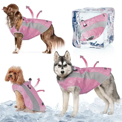 Produktbild von Verbesserte Kühlwesten für Hunde