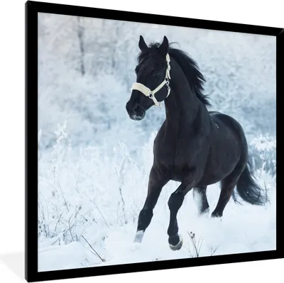 Produktbild von MuchoWow® Gerahmtes Poster Pferd - Schnee - Wald 40x40 cm - Poster mit Schwarzem Bilderrahmen Wandposter Rahmen Foto Bilder - Mit Rahmen - Wanddekoration Schlafzimmer