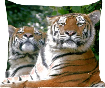 Produktbild von MuchoWow® Zierkissen Sofakissen Wohnzimmer Dekokissen 50x50 cm Tiger - Wald - Köpfe - Komfort - Sofakissen