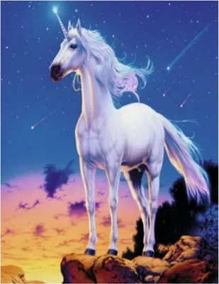 Immagine prodotto di Vikpap KTL7252 - Pittura numerica, tela 30 × 40 cm - Fata unicorno