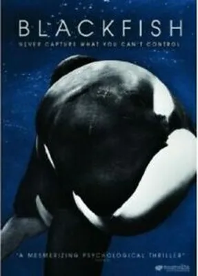 Produktbild von Blackfish [DVD] [2013] [Region 1] [US Im DVD