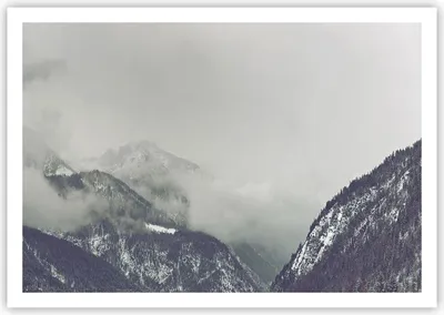 Produktbild von Poster - Poster ohne Rahmen - Berge Wald Nebel - 100x70 cm - Wand Bild - Wanddeko - Wandbilder - Kunstposter - Wandposter - Bilder - Kunstdruck - Wanddekoration - Wandbild - P2XAA100x70-4270