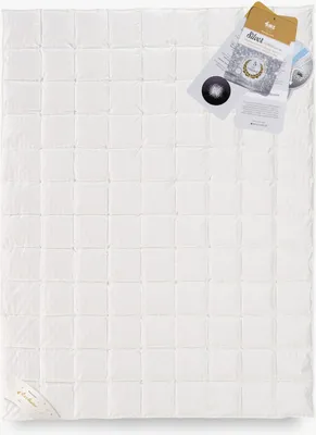 Produktbild von Bettdecke GÄNSEDAUNE 135x200 SILBER 900g Ganzjahres Exklusiv