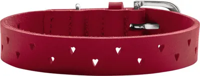 Image de HUNTER Collier Aalborg Soul - Taille : XXS-XS (25) - Finition : rouge