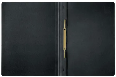 Image de Dossier de classement rapide Leitz Recycle 39040095 A4 250feuilles noir
