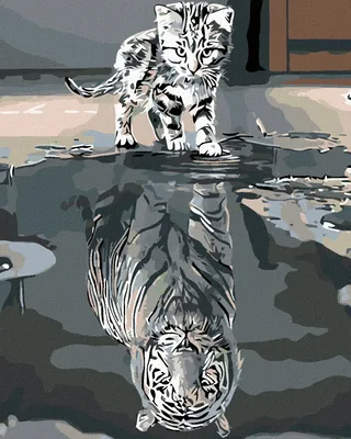 Produktbild von Diamondi - Diamond painting - KÄTZCHEN ODER TIGER, 40X50 cm, mit Keilrahmen (bereits gespannt)