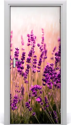 Produktbild von Tulup Türaufkleber 95x205 cm Dekorative Aufkleber Selbstklebend Wasserdichte Tapete Abnehmbar Schlafzimmer Wohnzimmer Wohnkultur - Lavendelfeld
