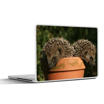 Produktbild von MuchoWow® Laptop Aufkleber Sticker Cover Zwei Igel auf einem Topf 30x21 cm - Sticker für Laptop - Selbstklebend