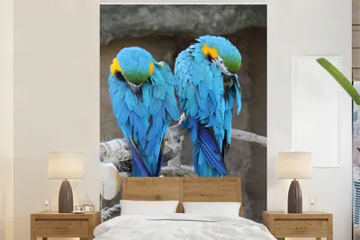 Produktbild von MuchoWow® Fototapete für Wohnzimmer oder Schlafzimmer Wandtapete Vinyl Motivtapete Zwei Aras - 195x300 cm - Das Hintergrundbild