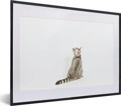 Produktbild von MuchoWow® MuchoWow® Gerahmtes Poster Katze - Haustiere - Fell 40x30 cm - Poster mit zchwarzem Bilderrahmen - Bilderrahmen - Poster im Rahmen