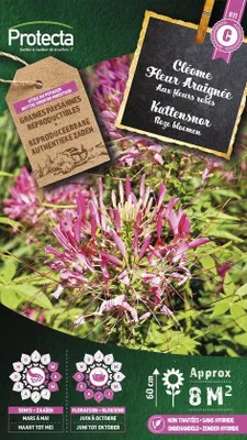 Productafbeelding van Protecta Bloemen zaden: Kattensnor Roze | Cleome
