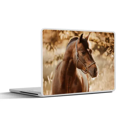 Produktbild von MuchoWow® Laptop Aufkleber Sticker Cover Pferd - Sonne - Porträt - Natur - Braun 40x30 cm - Laptop Dekoration - Selbstklebend