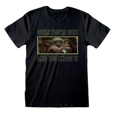 Produktbild von Star Wars Mandalorian T-Shirt XL The Cute And Knows It