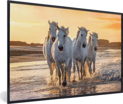 Produktbild von MuchoWow® MuchoWow® Gerahmtes Poster Pferde - Wasser - Strand - Tiere 90x60 cm - Poster mit zchwarzem Bilderrahmen - Fotorahmen - Foto-Plakat