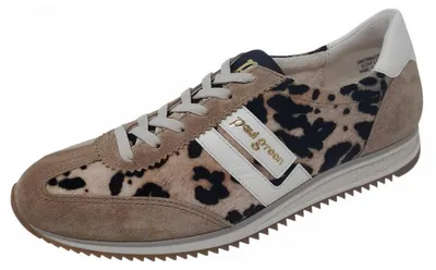 Produktbild von Paul Green Sneaker Beige in Gr. 38.5