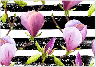 Produktbild von Tulup® Glas-Bild - 100 x 70 - Wandbild aus Glas - Wandkunst - Wandbild hinter gehärtetem Sicherheitsglas - Blumen & Pflanzen - Magnolien Streifen - Rosa