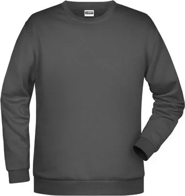 Produktbild von Klassisches Rundhals Sweatshirt für Herren graphite, Gr. 4XL