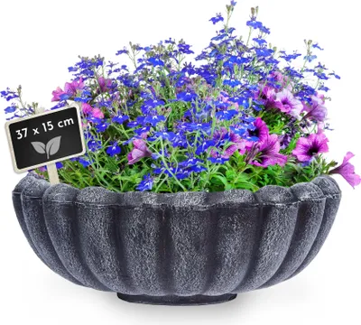 Produktbild von Pflanzschale MARGARITE, grau, Größe S