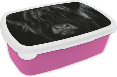 Produktbild von KitchenYeah® Lunchbox Brotzeit Brotdose 17x11 cm Schottisches Hochlandrind - Kuh - Schwarz - Weiß - Porträt Kinder Brotzeitdose - Lunchpaket - Brotkasten  - Sandwich Box