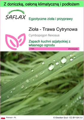 Zdjęcie produktu dla SAFLAX - Garden to go - Zioła - Trawa Cytrynowa - 50 Nasiona - Z doniczką, pokrywą klimatyczną i podłożem do uprawy - Cymbopogon flexosus