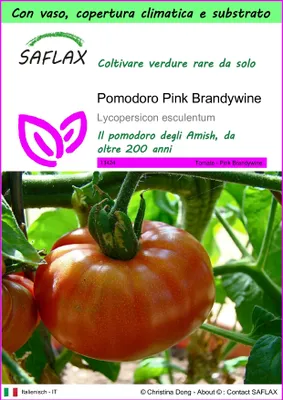 Immagine prodotto di SAFLAX Garden to go - Pomodoro Pink Brandywine - 10 semi - Lycopersicon