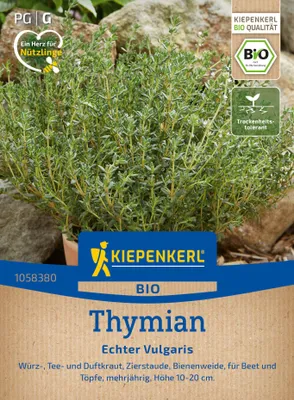 Produktbild von Kiepenkerl Saatgut Thymian Echter Vulgaris für ca. 150 Pflanzen