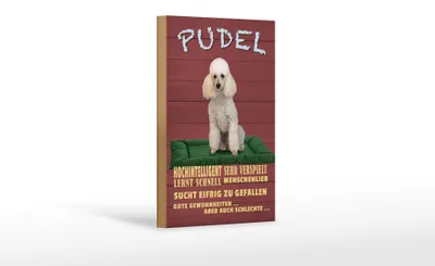 Produktbild von Holzschild Spruch 12x18cm Pudel hochintelligent lieb Hund