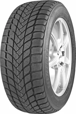 Immagine prodotto di Mastersteel Winterplus 1 Is-W 225/55R17 97H Bsw