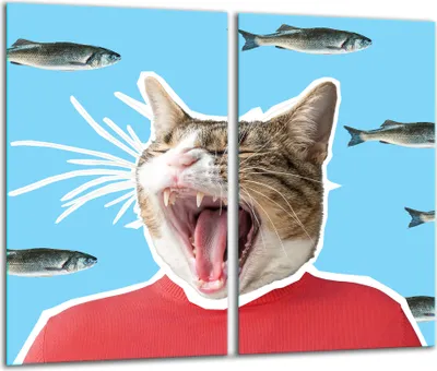 Produktbild von Herdabdeckplatten 2 teilig 30x52 Glaskeramikkochfeld Abdeckung Glas Katze