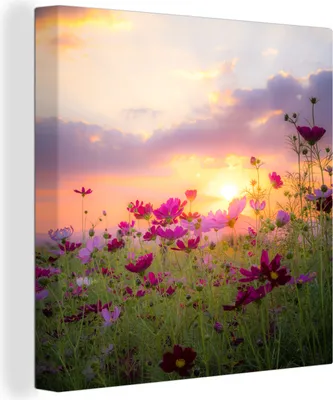 Obrázek produktu pro OneMillionCanvasses® Malba na plátně Nástěnná malba na plátně - Květiny - Růžová - Západ slunce - Příroda - Louka - Horizont - 20x20cm