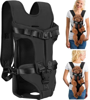 A collage of images showing a black dog carrier backpack, with two inset images of women wearing the carrier with a dog inside.