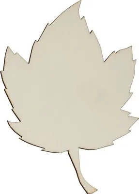 Produktbild von Fensterbild: Bergahornblatt