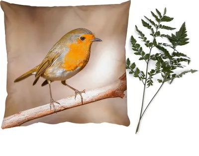 Produktbild von MuchoWow® Zierkissen Sofakissen Wohnzimmer Dekokissen 50x50 cm Vogel - Zweig - Rotkehlchen - Komfort - Sofakissen