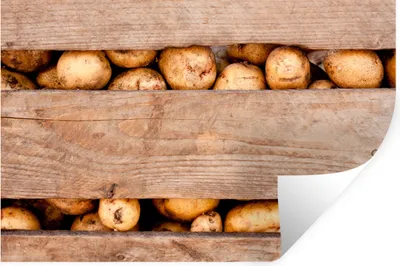 Produktbild von MuchoWow® - Wierderverwendbar - Selbstklebend