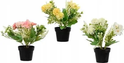 Image de Plante fleurie avec pot fleur décorative 24x18 cm