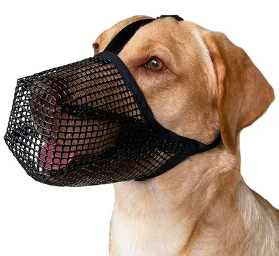Produktbild von Hundemaulkorb XL, Weicher Mesh-Maulkorb Für Mittelgroße Bis Große Hunde, Mit Verstellbaren Gurten Zur Giftköder-Prävention