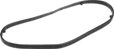 Produktbild von Steuerkastendeckeldichtung passend für Fiat Ducato 244 250 2,3 16V 504380138