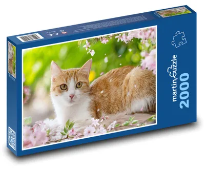Zdjęcie produktu dla Puzzle 2000 Kot wśród kwiatów - martinpuzzle