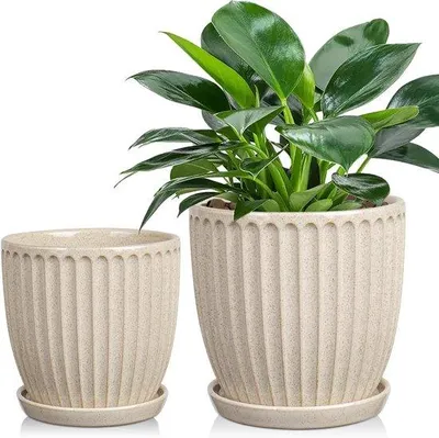 Produktbild von Keramische Pflanzentöpfe 13-15cm beige mit Drainage für Sukkulente